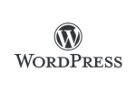 Wordpress_stunnsolution_logo